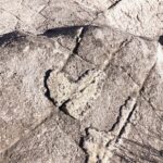 Natural heart shape in rock